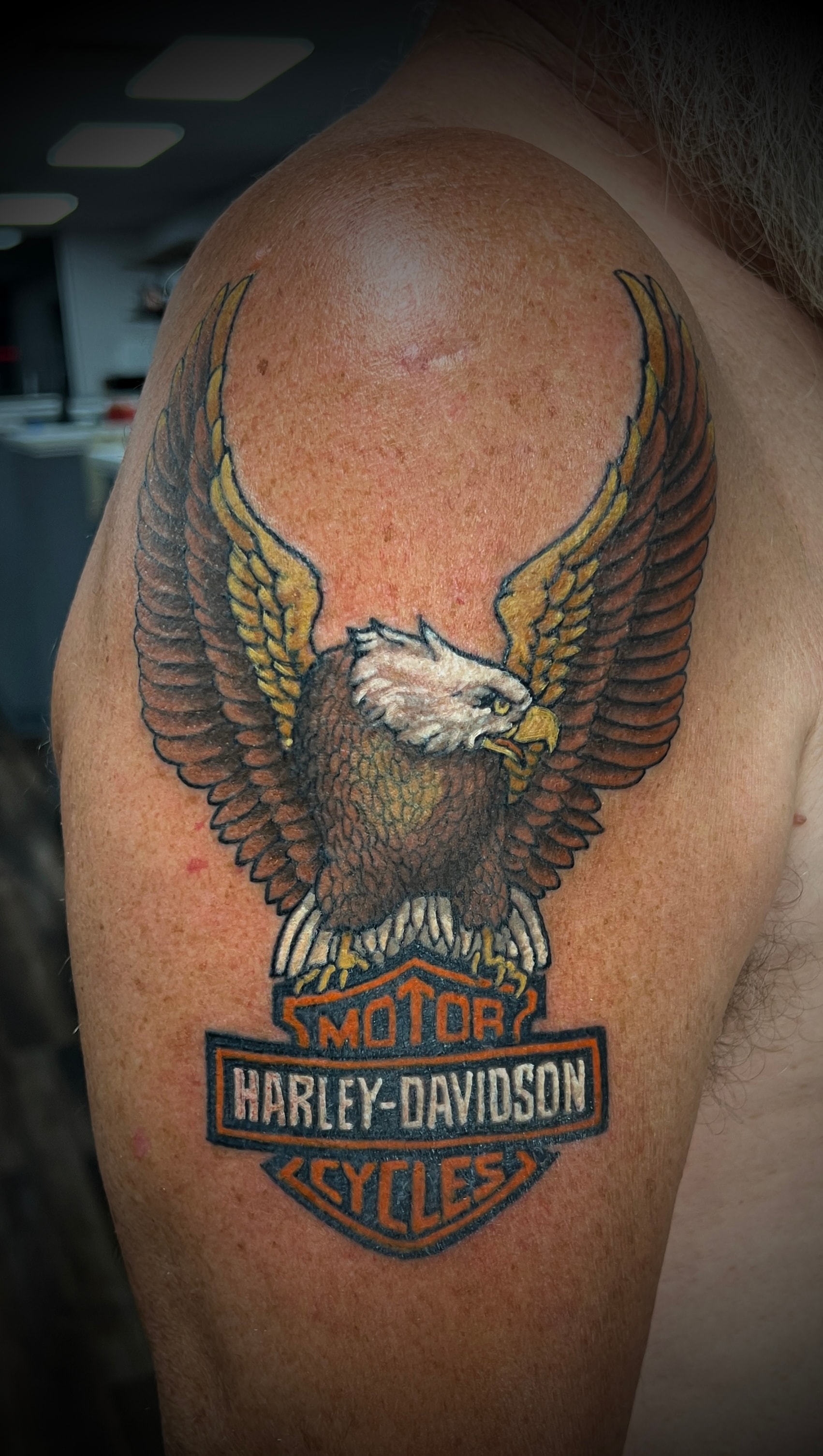 HD Eagle