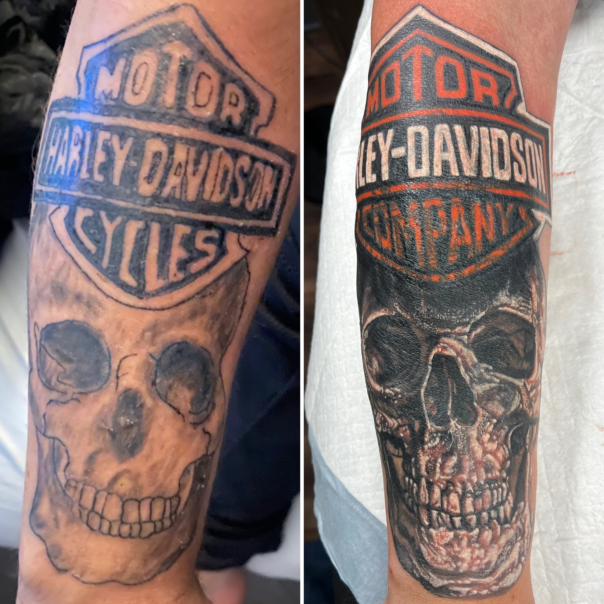 HD Skull — Cover Up