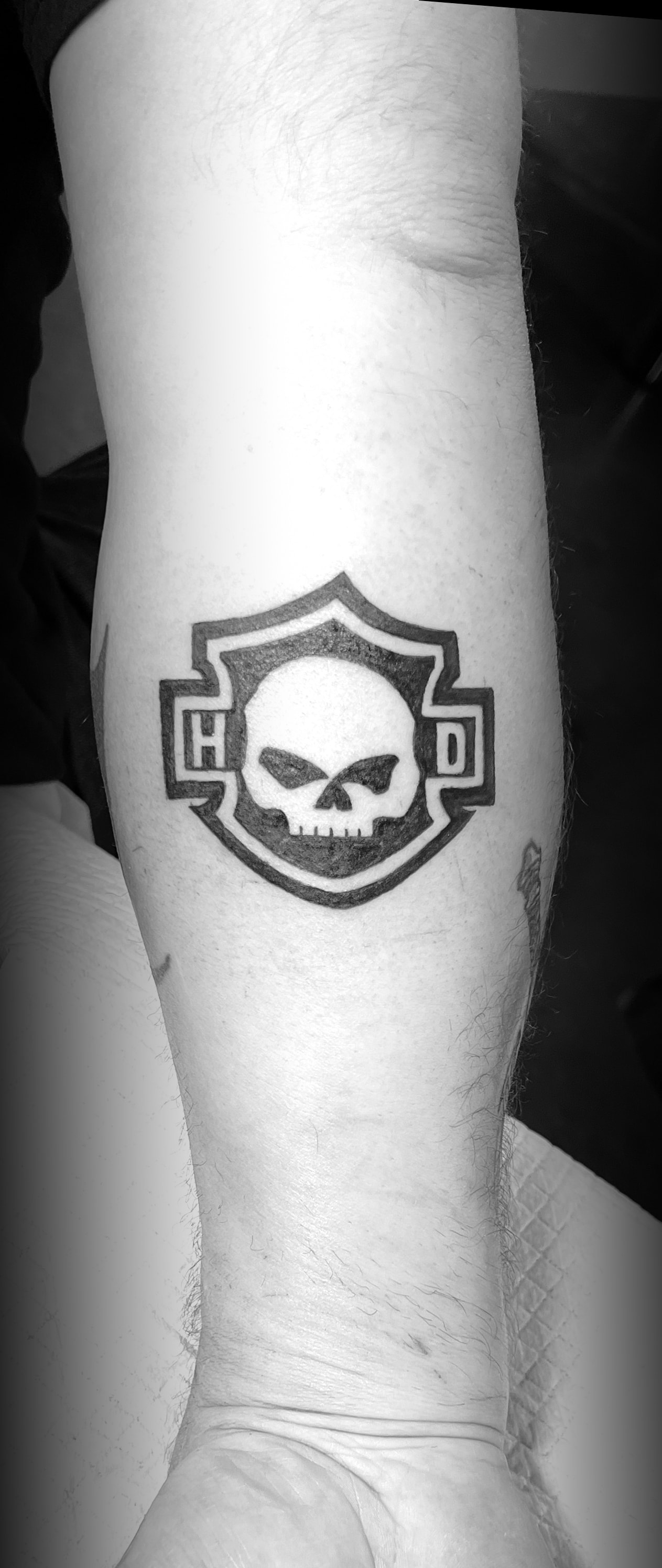 HD Willie G Skull