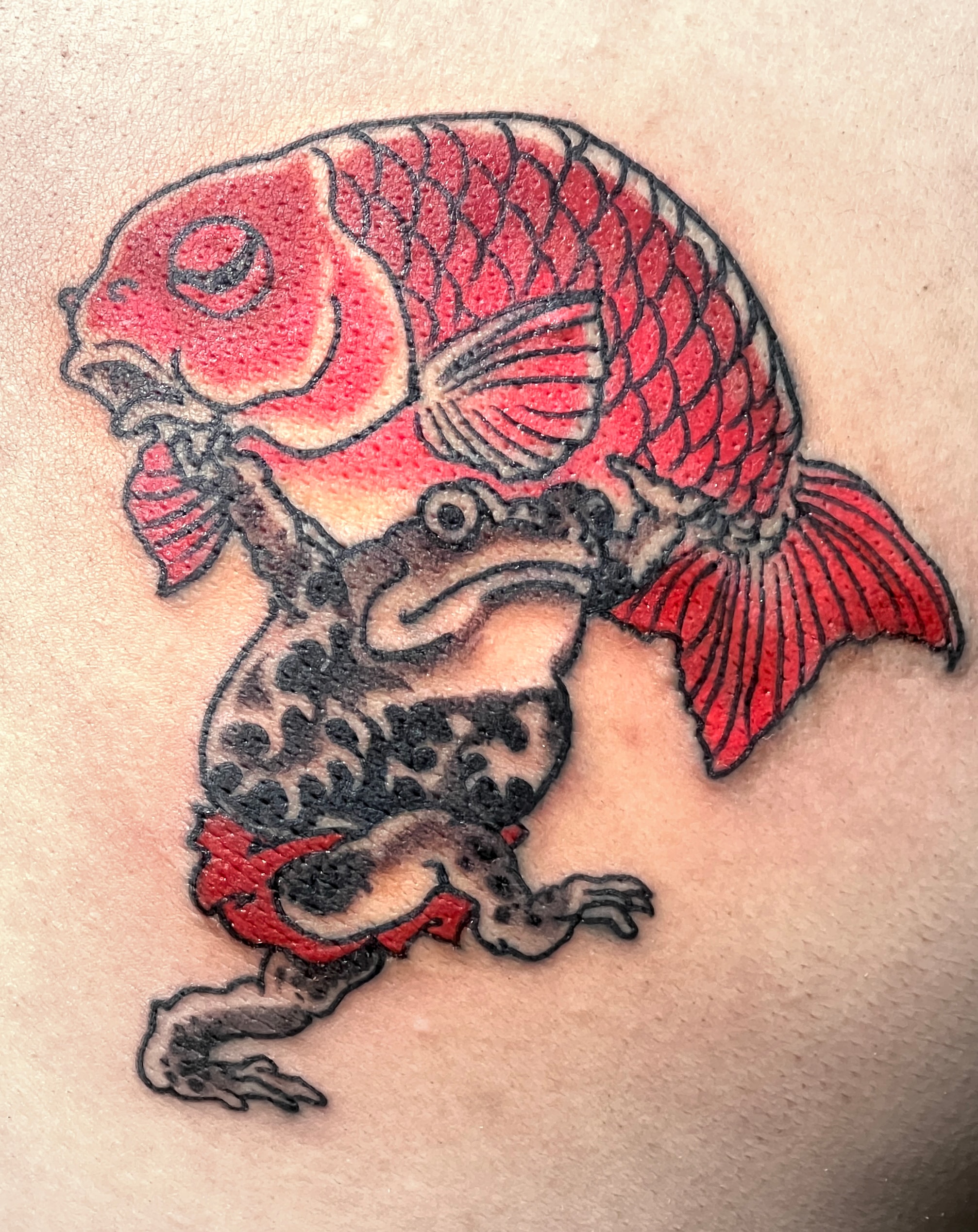 Frog & Koi