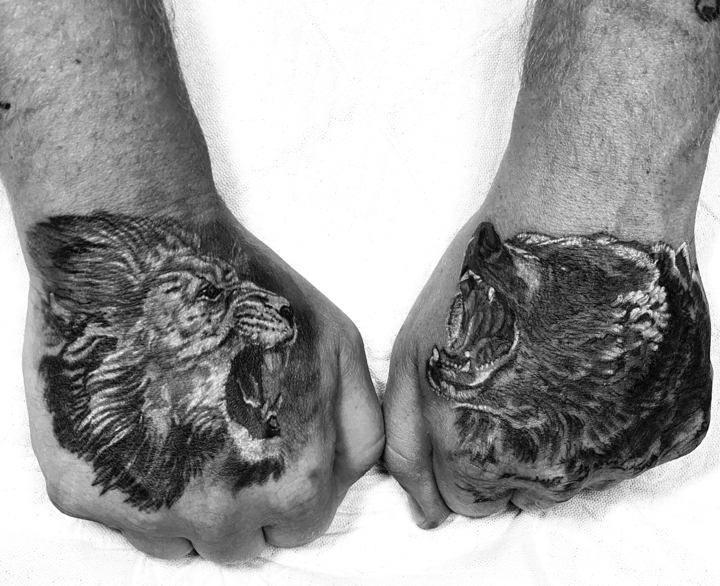 Bear Hands
